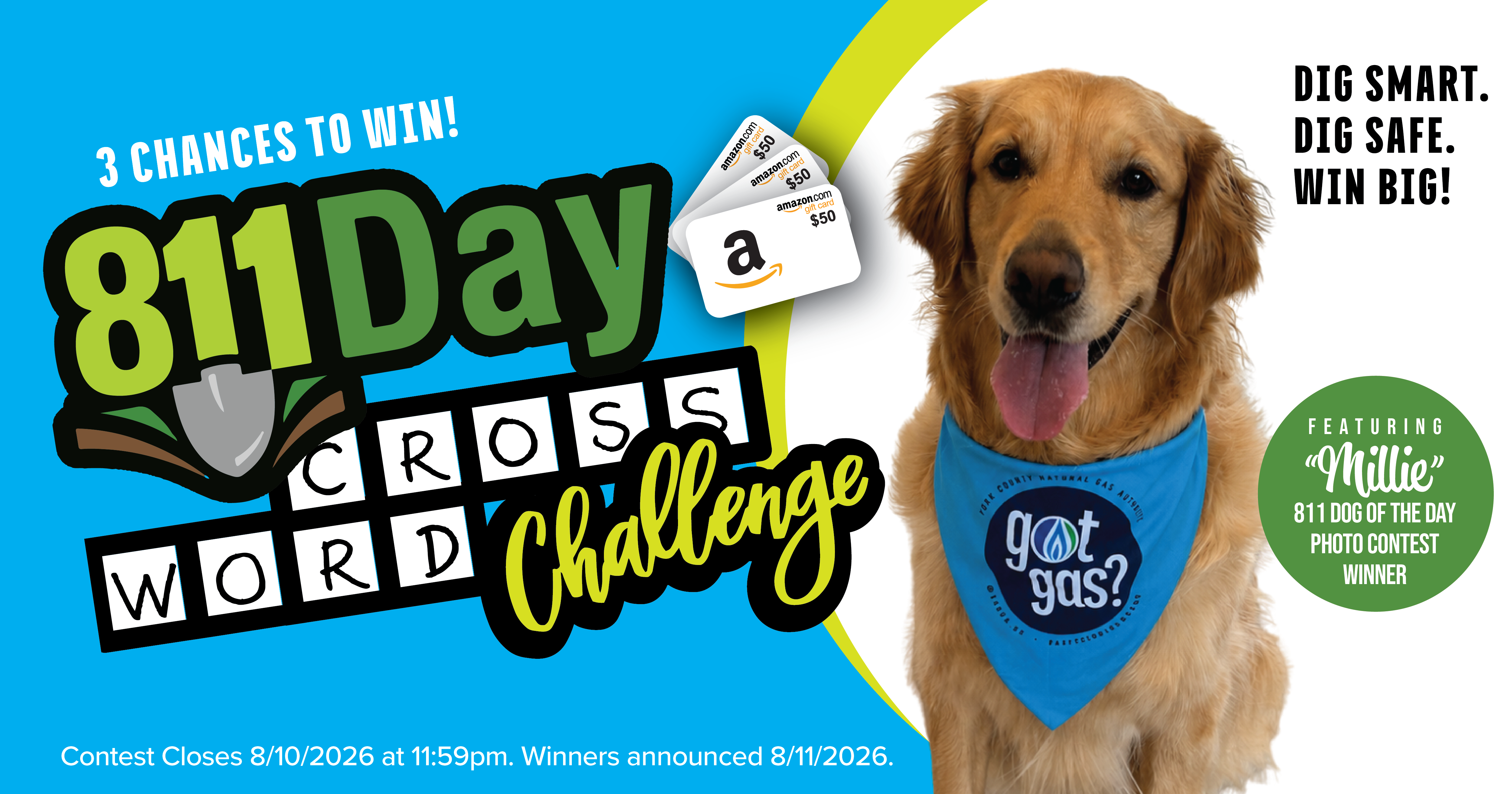 811 Day Crossword Challenge